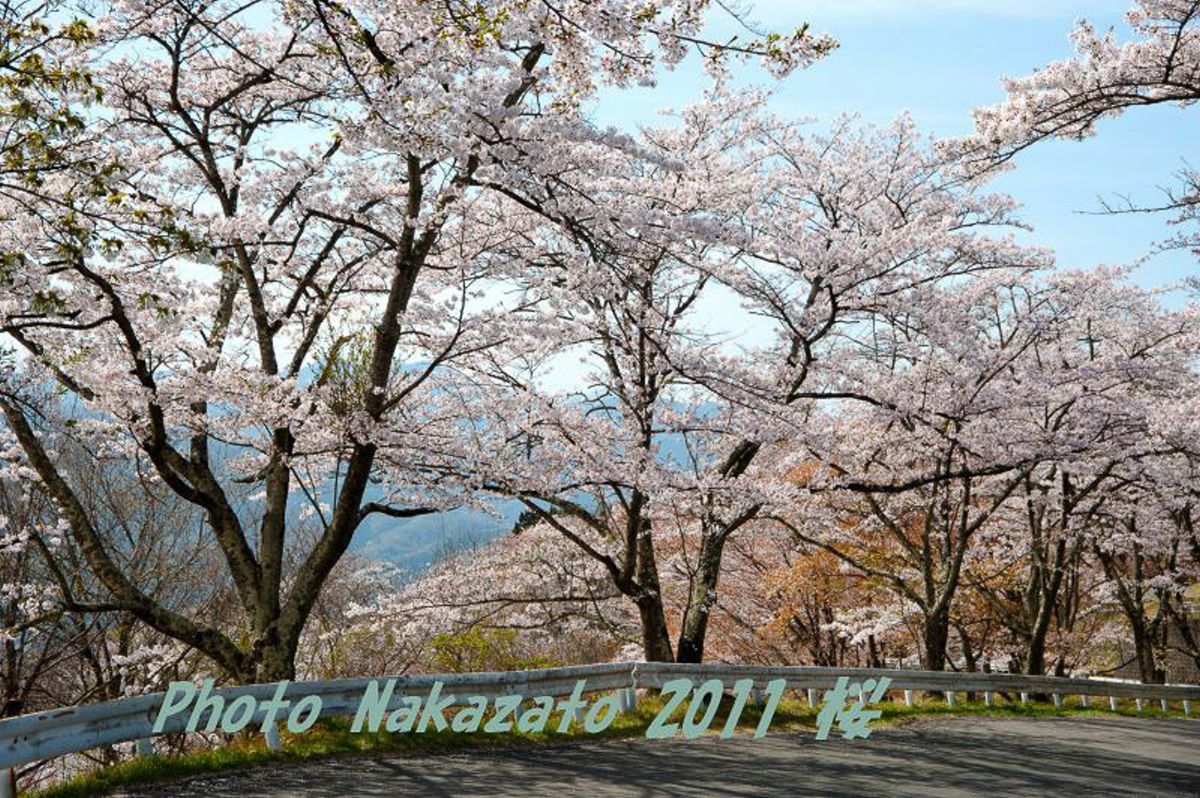 美の山